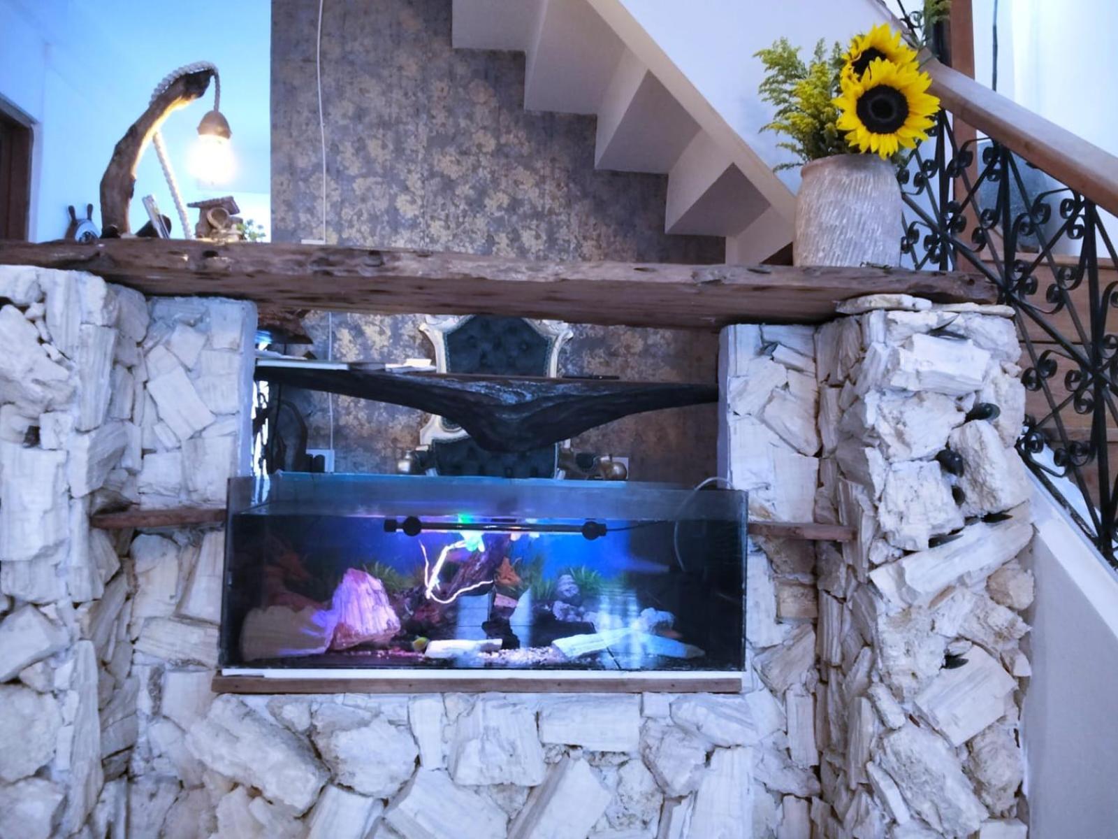 Boutique Tierra Del Mar