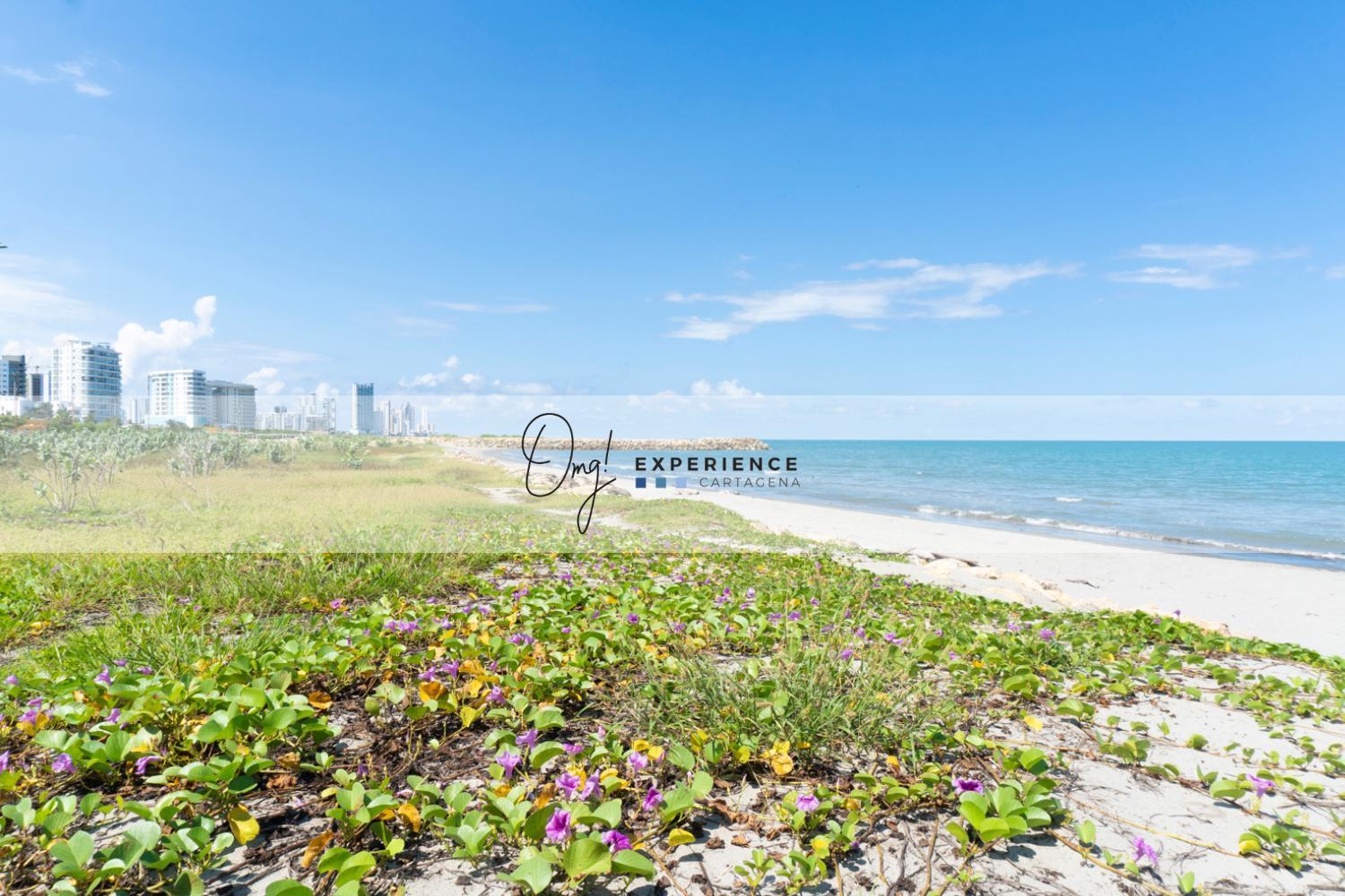 Apartamento Cb1444 Hermosa Frente A Cienaga-amanecer
