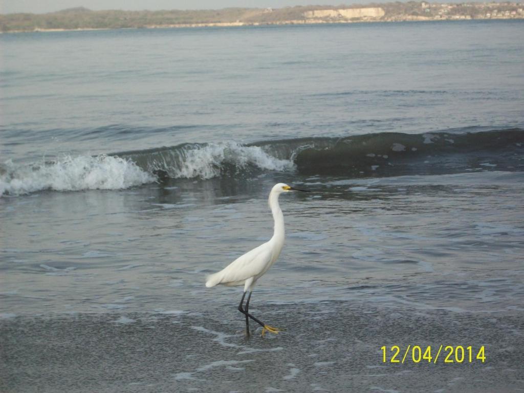 Apartamento Laguito Frente Al Mar * Cartagena