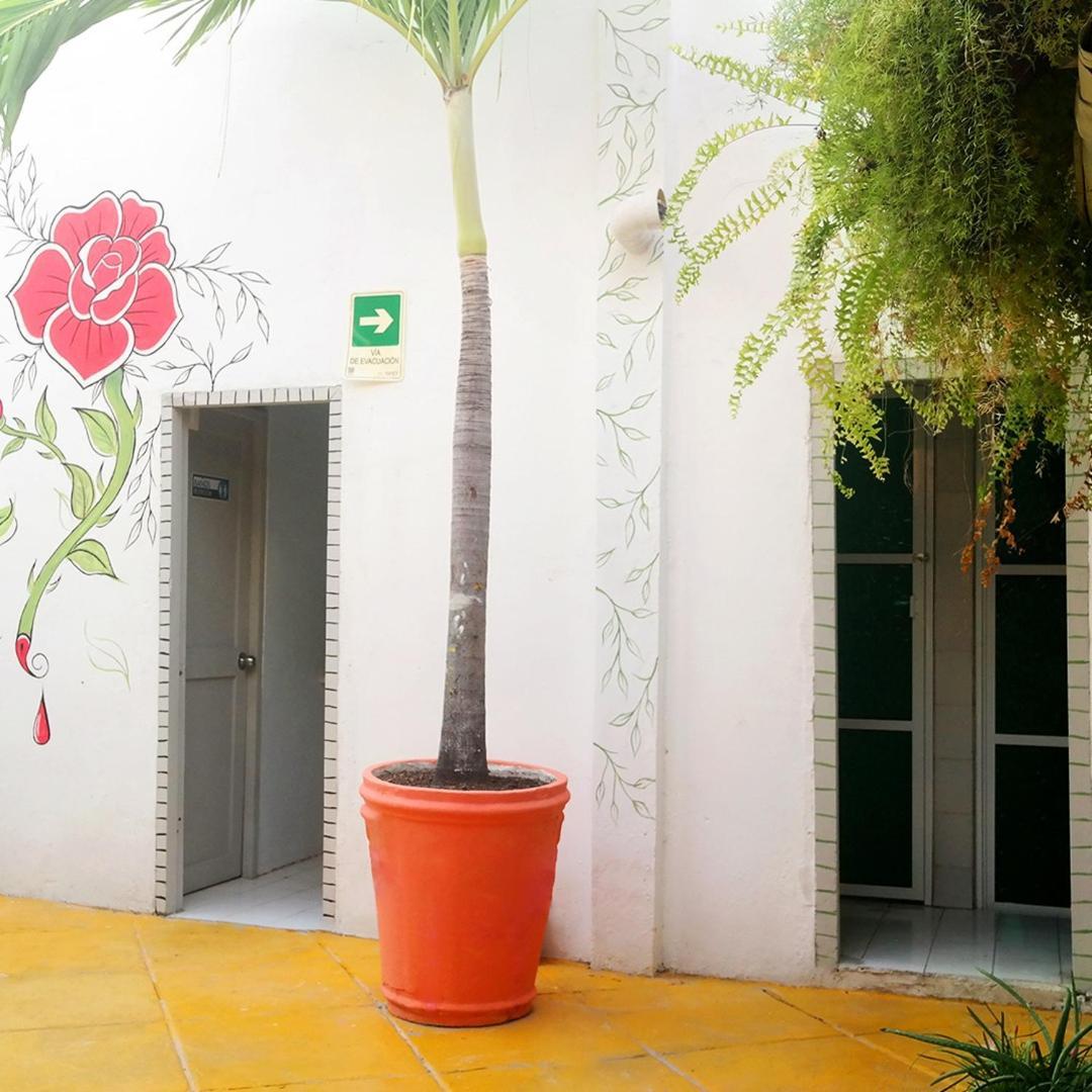 Hostel Green House San Diego