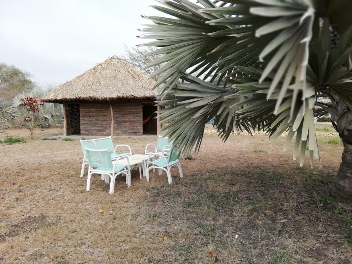 Hostel Urantia Planet