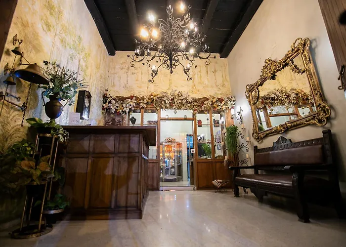 Scalea Di Mare Hotel