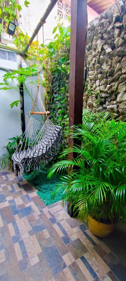 Guest house New Casa Dora