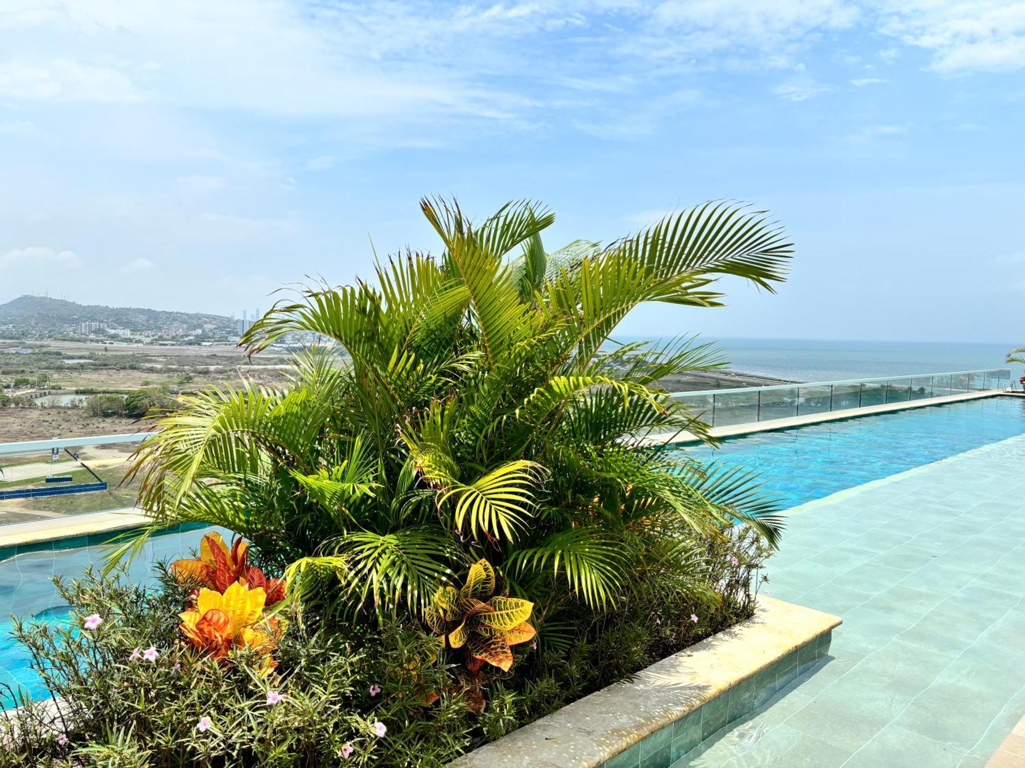 Dominique By Q Apartahotel