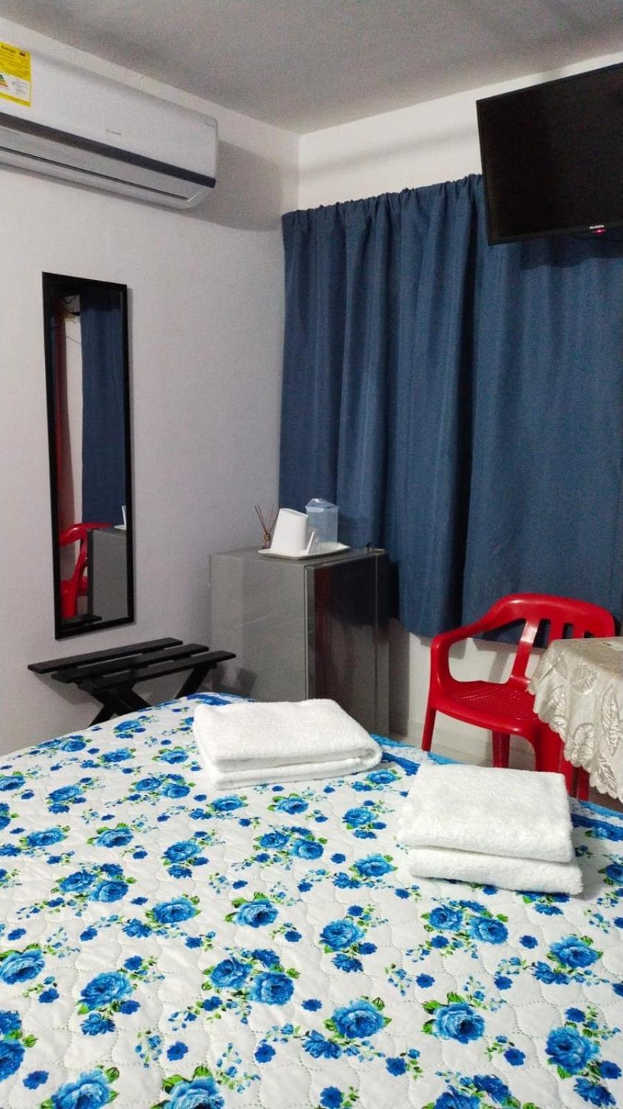 Arriendo Amobladas *