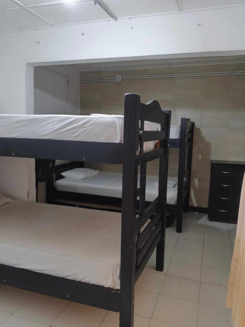 Hostel Shanty *