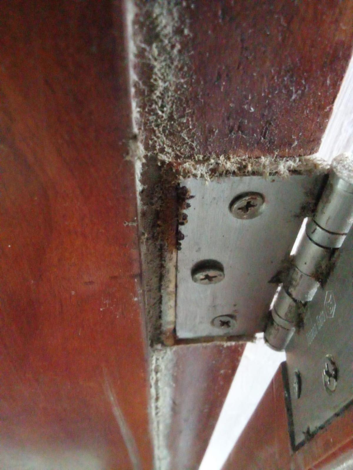 Apartahotel Apartasuit Beach, Barrio Crespo Cerca Del Aeropuerto